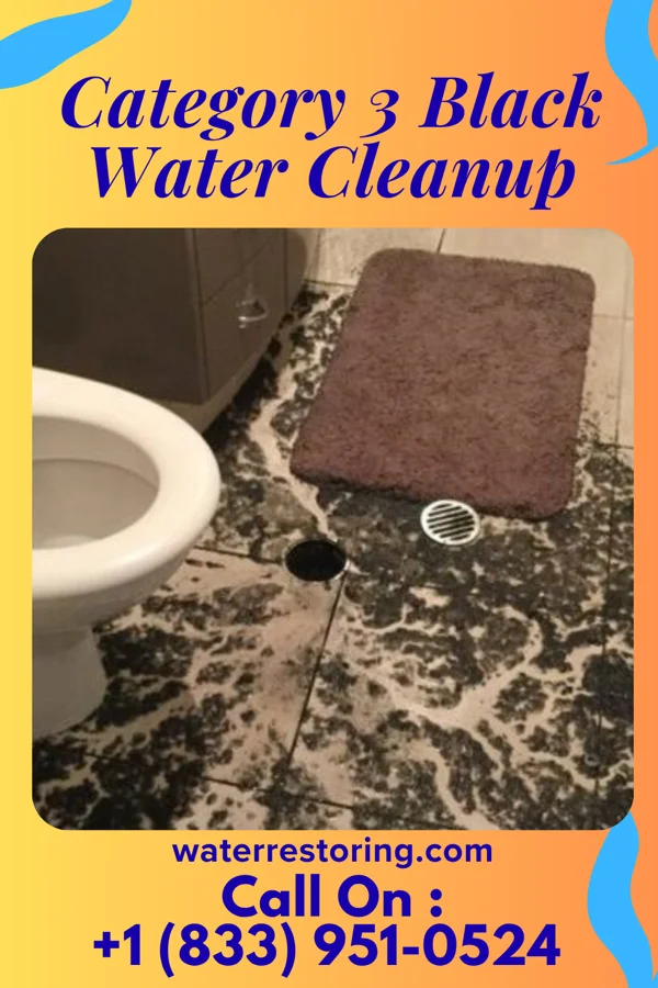Category 3 Black Water Cleanup in Chaffee, MO
