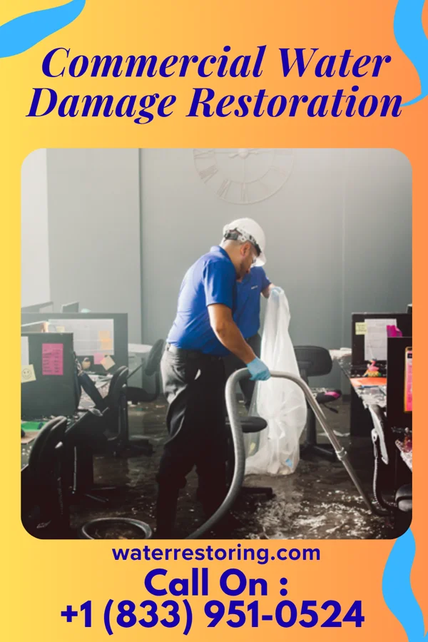 Commercial Water Damage Restoration in Chaffee, MO