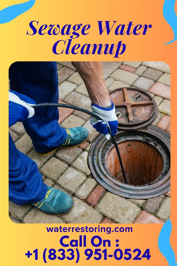 Sewage Water Cleanup in Chaffee, MO